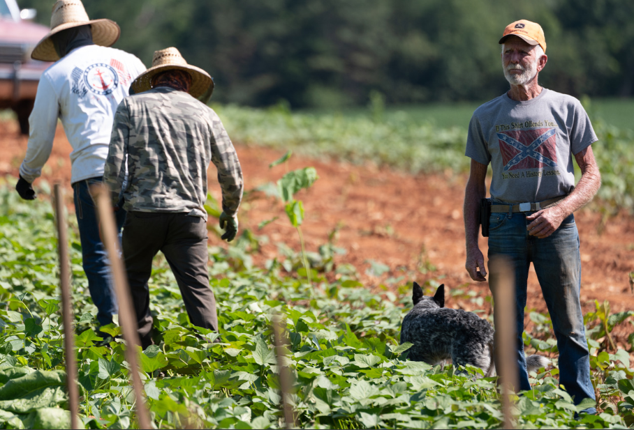 Historic Legislation: Virginia Repeals Minimum Wage Exemption for Agricultural Laborers